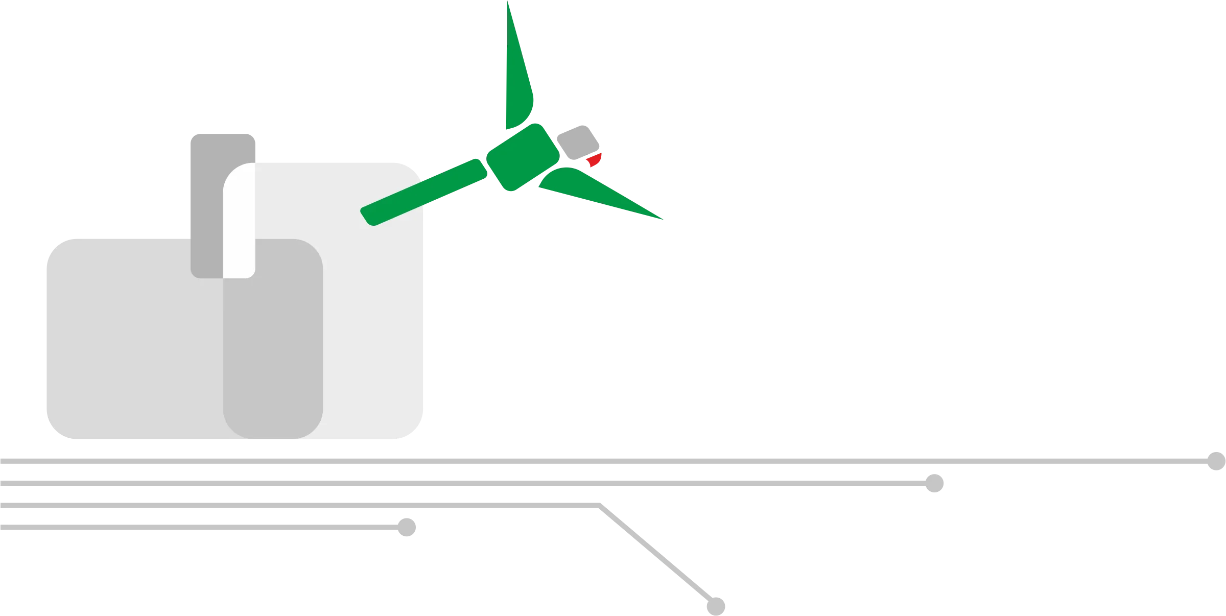 Parrot Flying